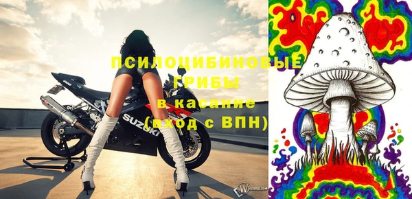 соль ск Зеленодольск